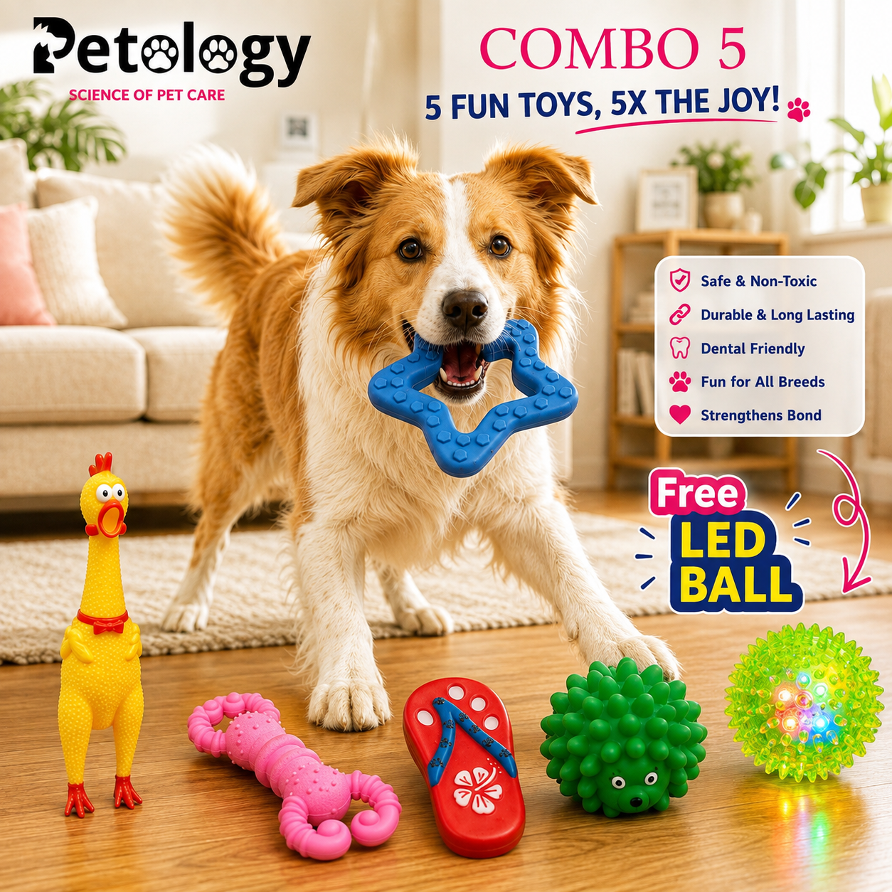 PLAYPETS DOG TRUST SOFT LATEX RUBBER COMBO PACK INTERACTIVE SQUEAKY TOY SET IDEAL FOR DOGS & PUPPIES - MULTICOLOR
