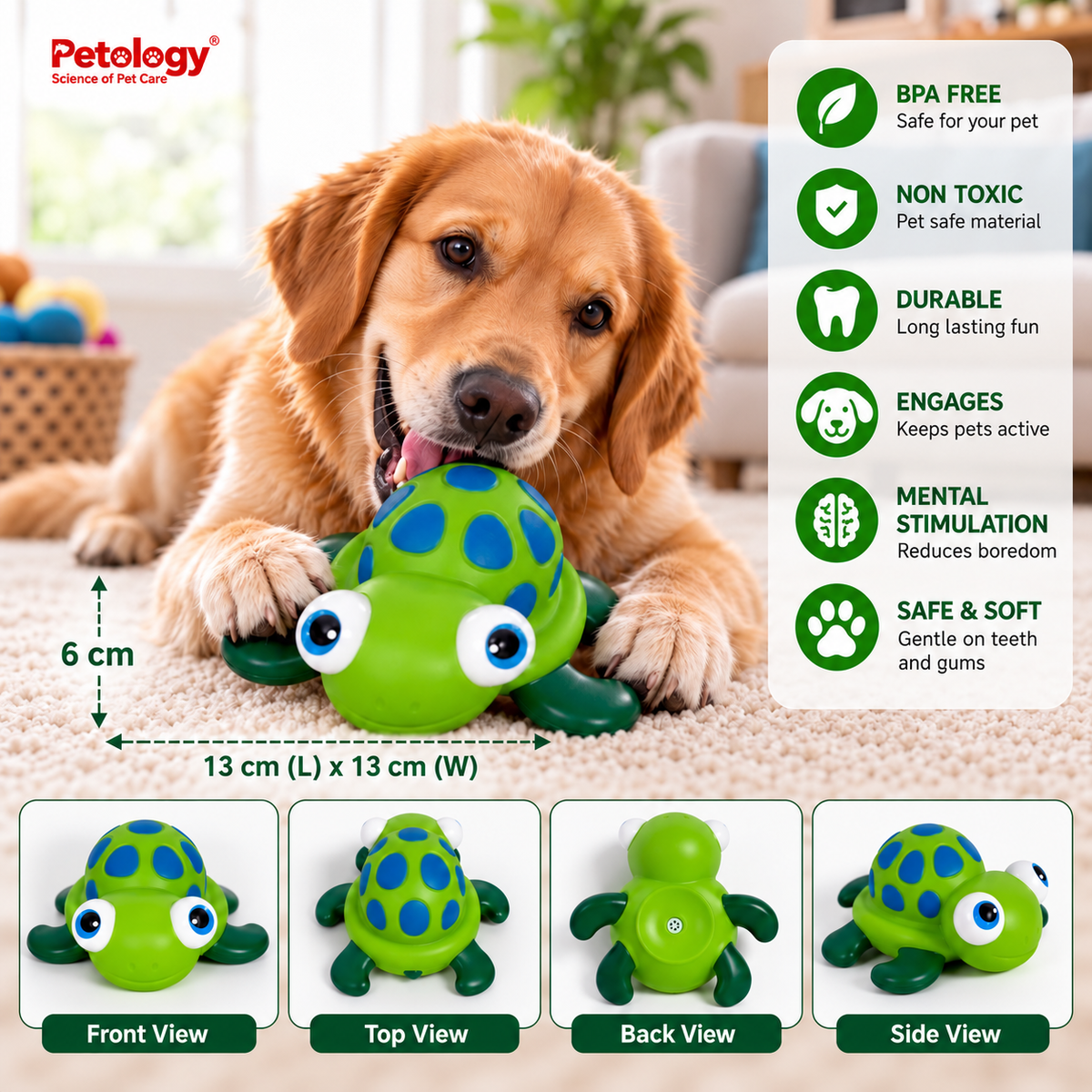 Turtle Squeaky Toy for All breed and sizes BPA FREE and Non-Toxic They enjoy the play and Sound