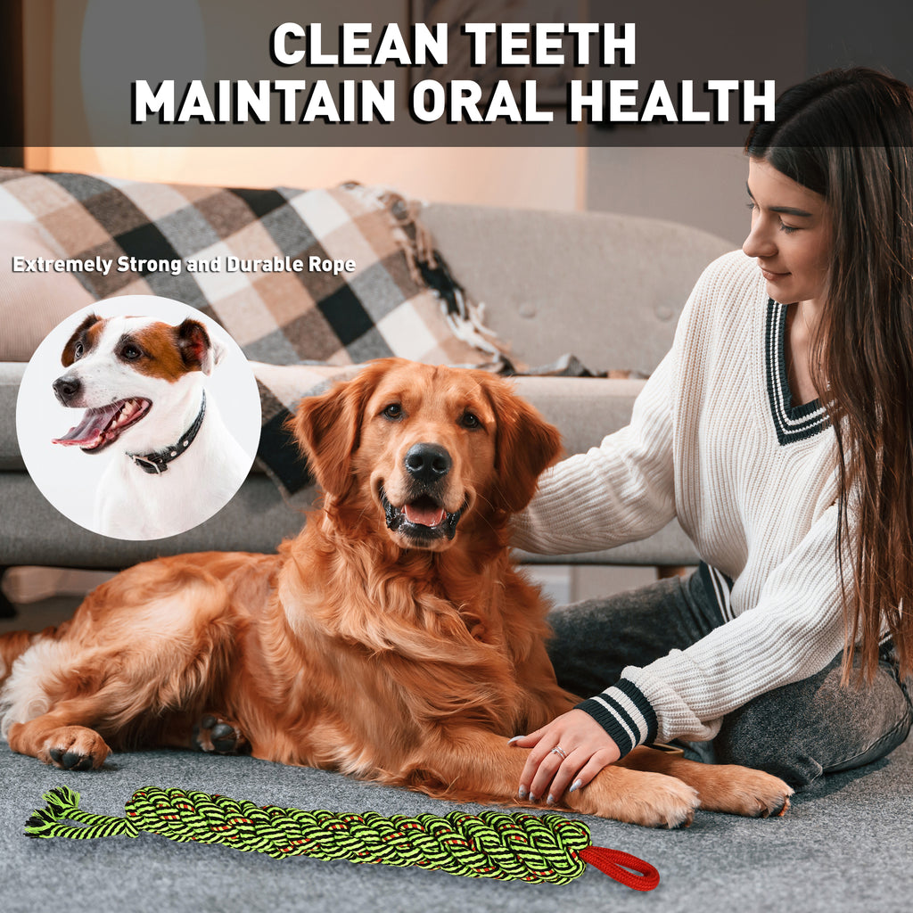 Make Lazy Furries active with Cotton, INTERACTIVE,AGRESSIVE CHEWERS FUN & POSITIVE,SNAKE Rope toys is the answer,Colour Variation