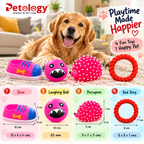 Petology Happy Fun Toy Combo – 4 Fun Toys, 1 JOY FREE