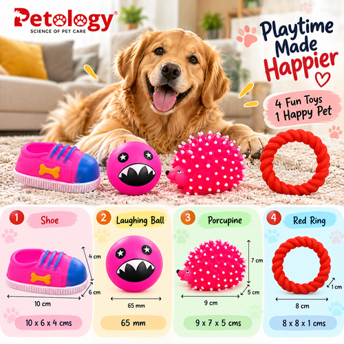 Petology Happy Fun Toy Combo – 4 Fun Toys, 1 JOY FREE