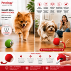 A promotional infographic for the Petology Smart Ball Happy Dog toy, showing a fluffy golden dog running toward a red ball on a wooden floor, with a woman in a living room in the background. The graphic includes feature icons, text callouts, and close-up detail shots of the red and green ball.