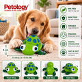 A golden retriever dog is lying on a beige carpet in a living room, playing with a green turtle-shaped rubber toy. The image includes the Petology brand logo, product dimensions, a list of benefits on the right, and four view labels at the bottom showing front, top, back, and side views of the toy.