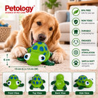 A golden retriever dog is lying on a beige carpet in a living room, playing with a green turtle-shaped rubber toy. The image includes the Petology brand logo, product dimensions, a list of benefits on the right, and four view labels at the bottom showing front, top, back, and side views of the toy.
