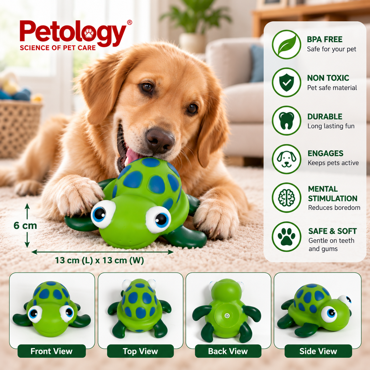 A golden retriever dog is lying on a beige carpet in a living room, playing with a green turtle-shaped rubber toy. The image includes the Petology brand logo, product dimensions, a list of benefits on the right, and four view labels at the bottom showing front, top, back, and side views of the toy.