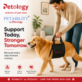 Petability Adjustable Dog Lift Harness ,Sling for Large Dogs Leg Support Soft Lift Support and Rehab Harness for Weak Rear Legs, Helps Senior, Injured, Disabled & After Surgery Dogs medium,large & xtra large breeds