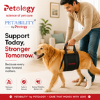 Petability Adjustable Dog Lift Harness ,Sling for Large Dogs Leg Support Soft Lift Support and Rehab Harness for Weak Rear Legs, Helps Senior, Injured, Disabled & After Surgery Dogs medium,large & xtra large breeds