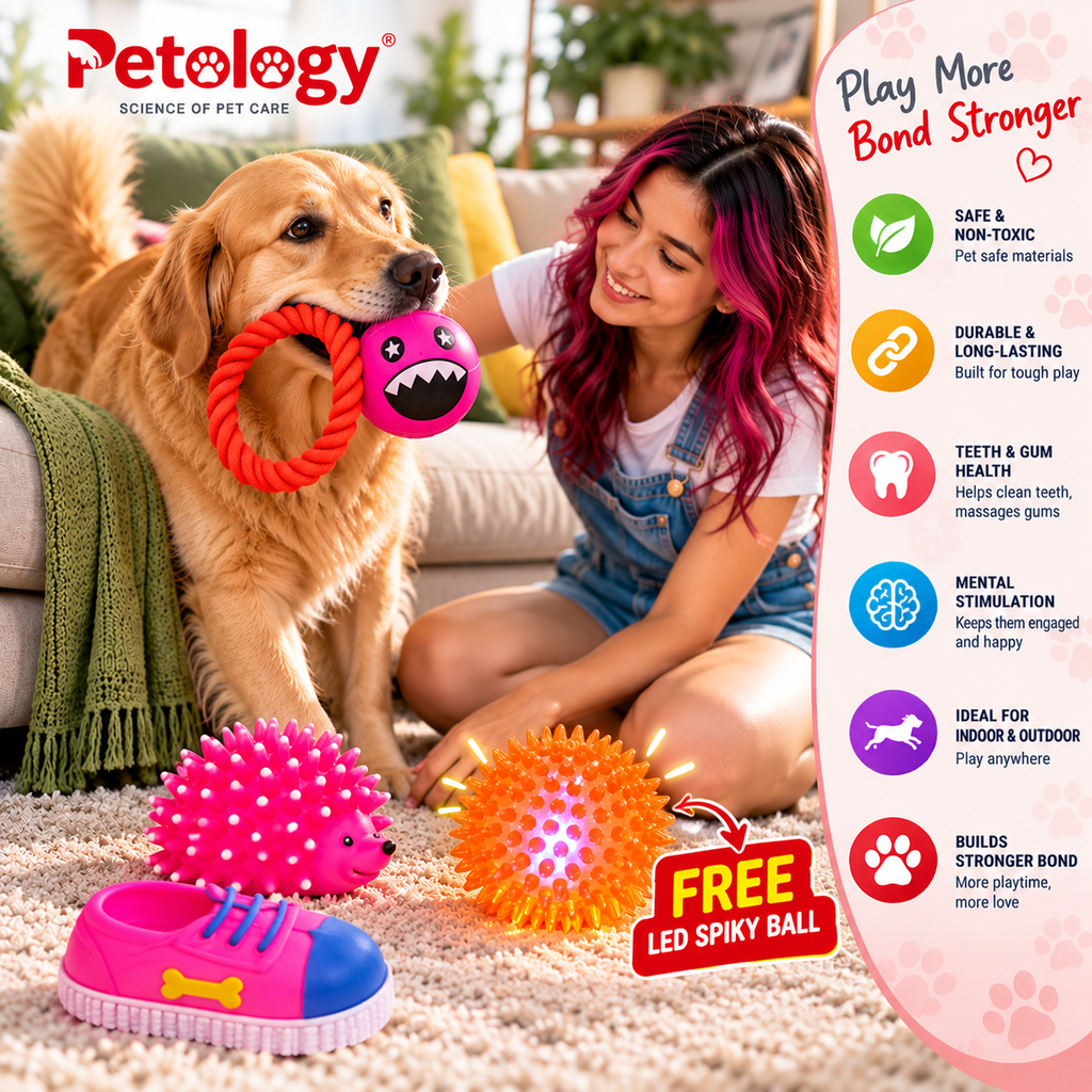 Petology Happy Fun Toy Combo – 4 Fun Toys, 1 JOY FREE