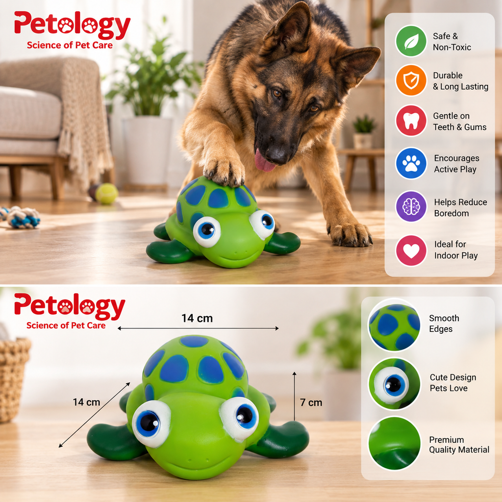 Turtle Squeaky Toy for All breed and sizes BPA FREE and Non-Toxic They enjoy the play and Sound
