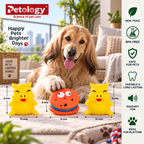 Latest toys Non-Toxic and BPA FREE with squeaky fun durable for medium and dog breeds