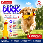 Penny Latex Rubber Duck Squeaky Toy for Fun, Fetch & Happy Pets,Reduces seperation anxiety
