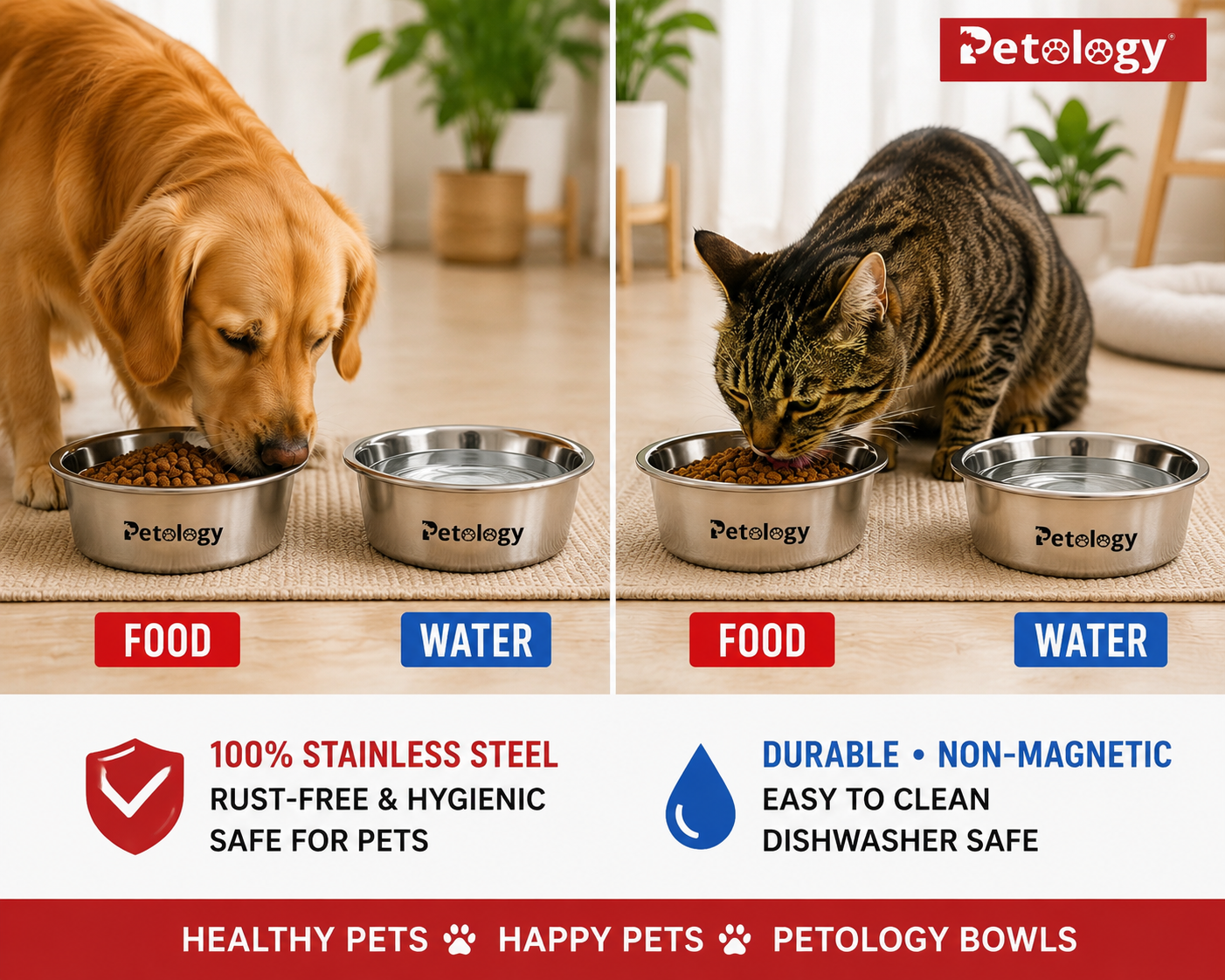 Petology Stella: Durable 100 % Stainless Steel Bowls for NGO & Pet Lovers perfect for street dogs give away
