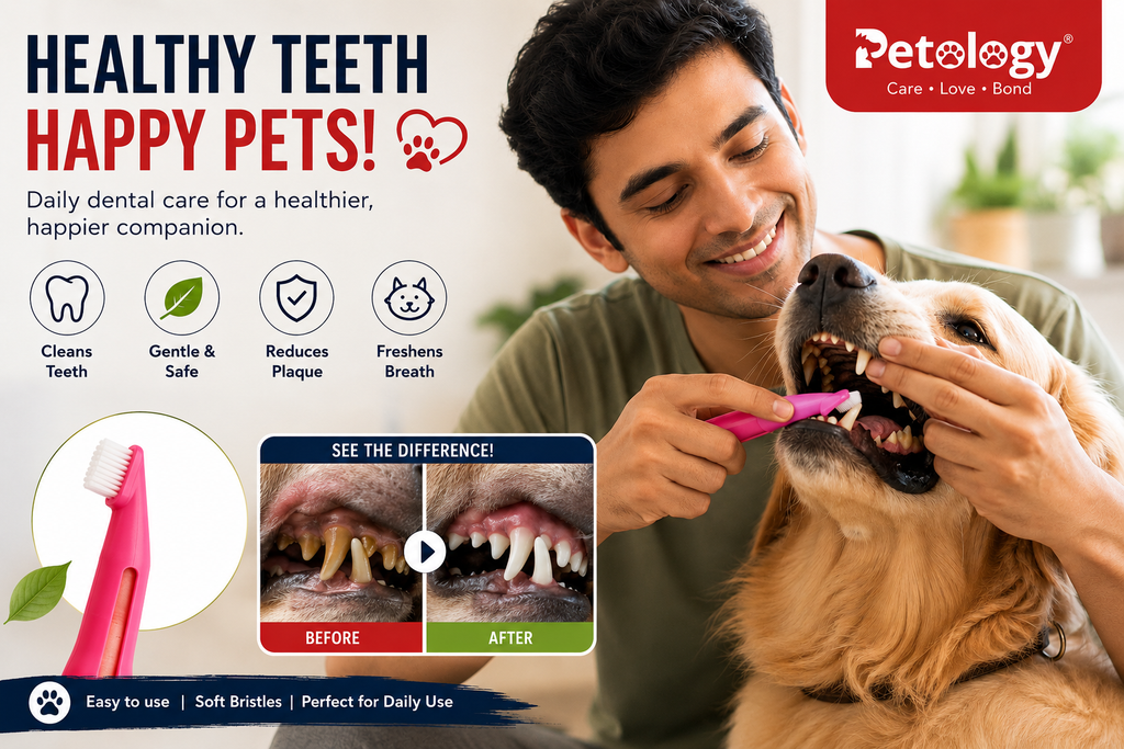 HiHygiene Ultra-Soft 2-in-1 Dog Toothbrush for Easy, Enhanced Oral Care