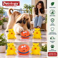 Latest toys Non-Toxic and BPA FREE with squeaky fun durable for medium and dog breeds