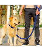 Petology high strength Mountain Xtra strong Climbing Rope Tough Nylon Braided Dog Leash multicolour