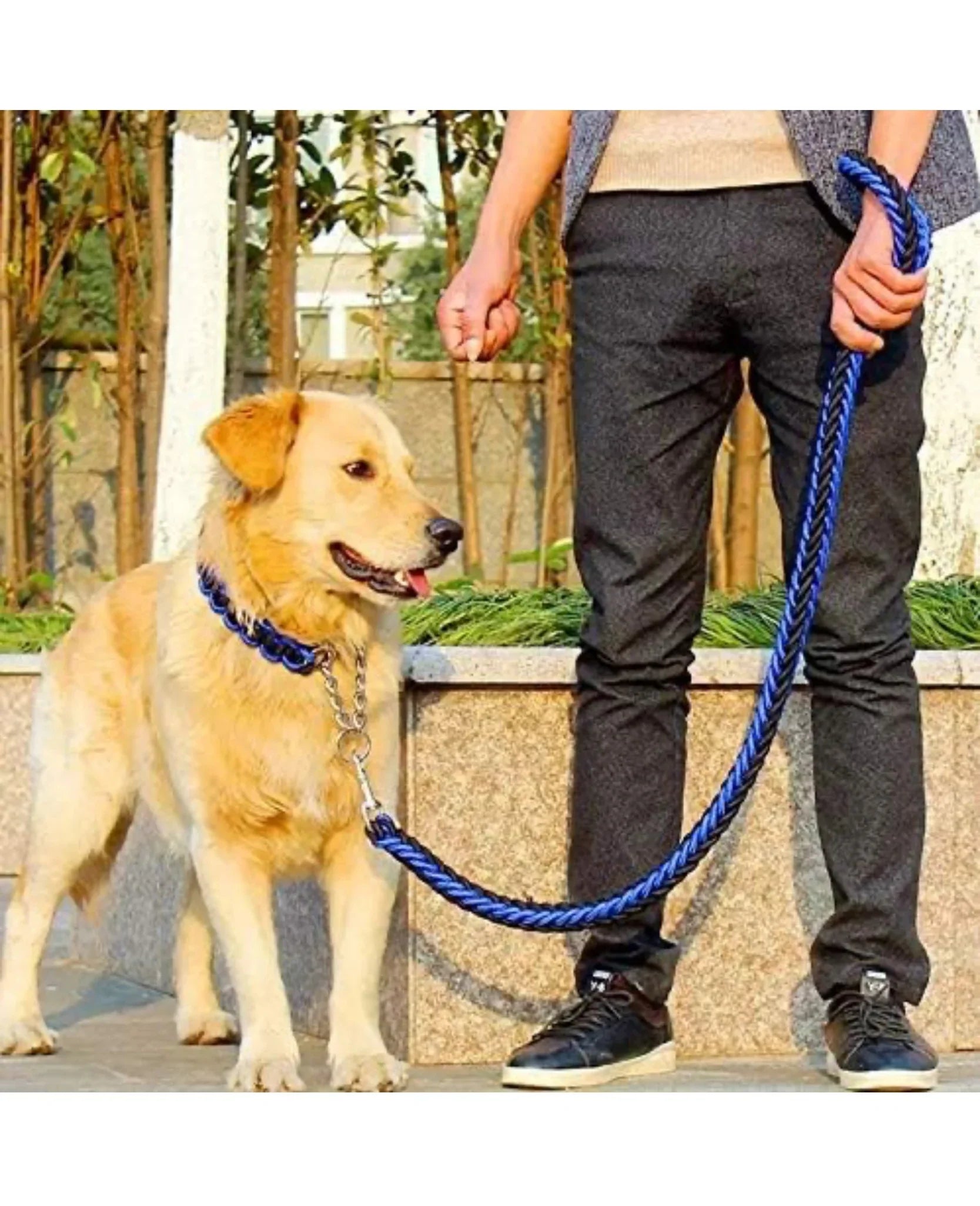 Petology high strength Mountain Xtra strong Climbing Rope Tough Nylon Braided Dog Leash multicolour