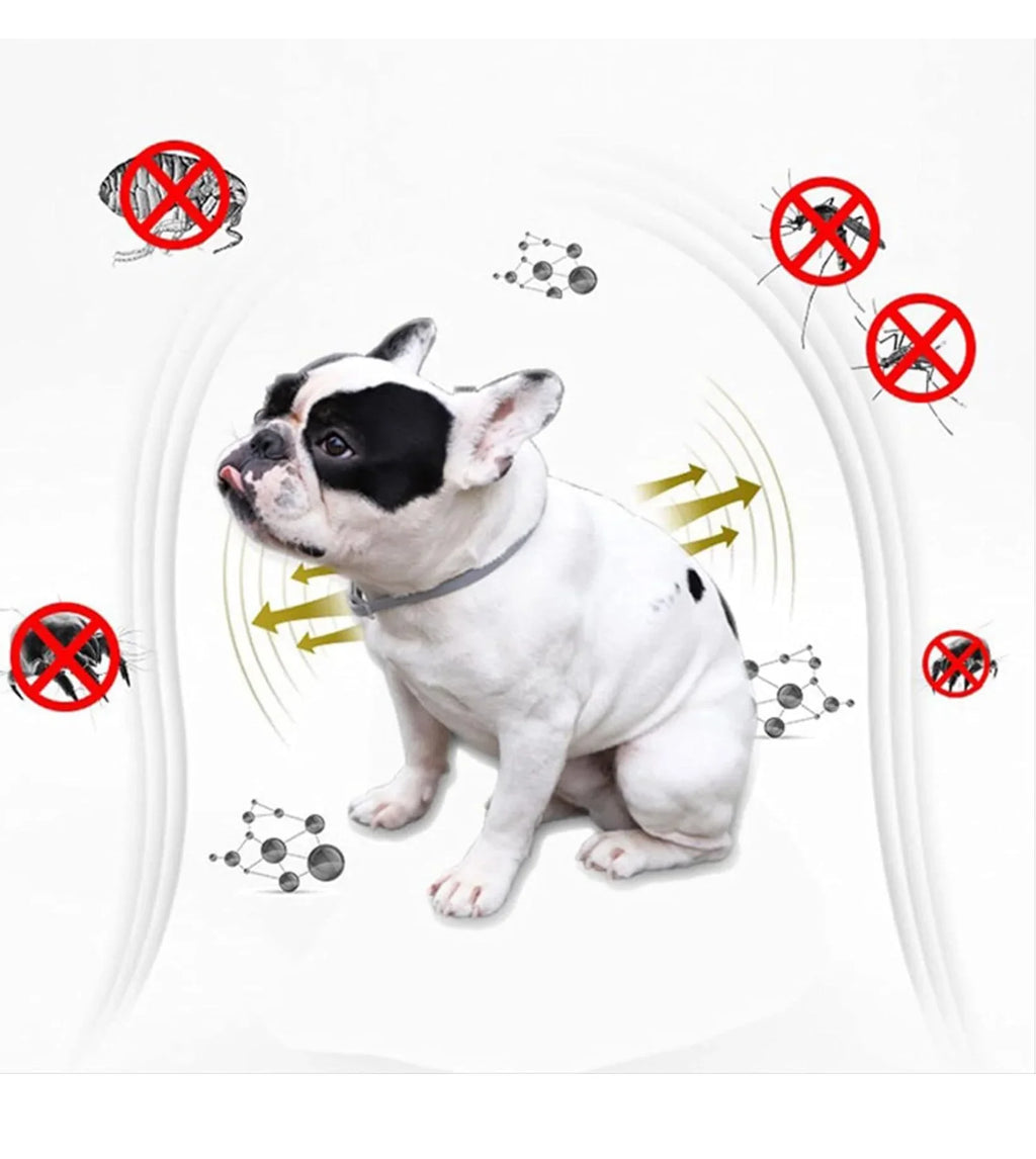 Petology 99.9% accuracy Flea Remover I 100% Natural Tick & Flea killer , no pesticides  Pets, Dogs-Puppies, Cats-Kittens