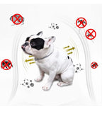 Petology 99.9% accuracy Flea Remover I 100% Natural Tick & Flea killer , no pesticides  Pets, Dogs-Puppies, Cats-Kittens