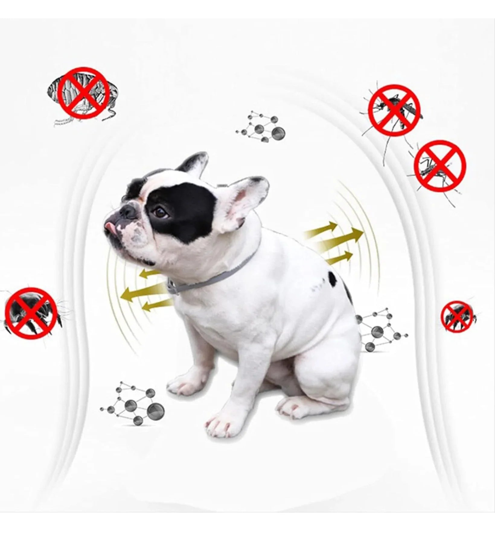 Petology 99.9% accuracy Flea Remover I 100% Natural Tick & Flea killer , no pesticides  Pets, Dogs-Puppies, Cats-Kittens