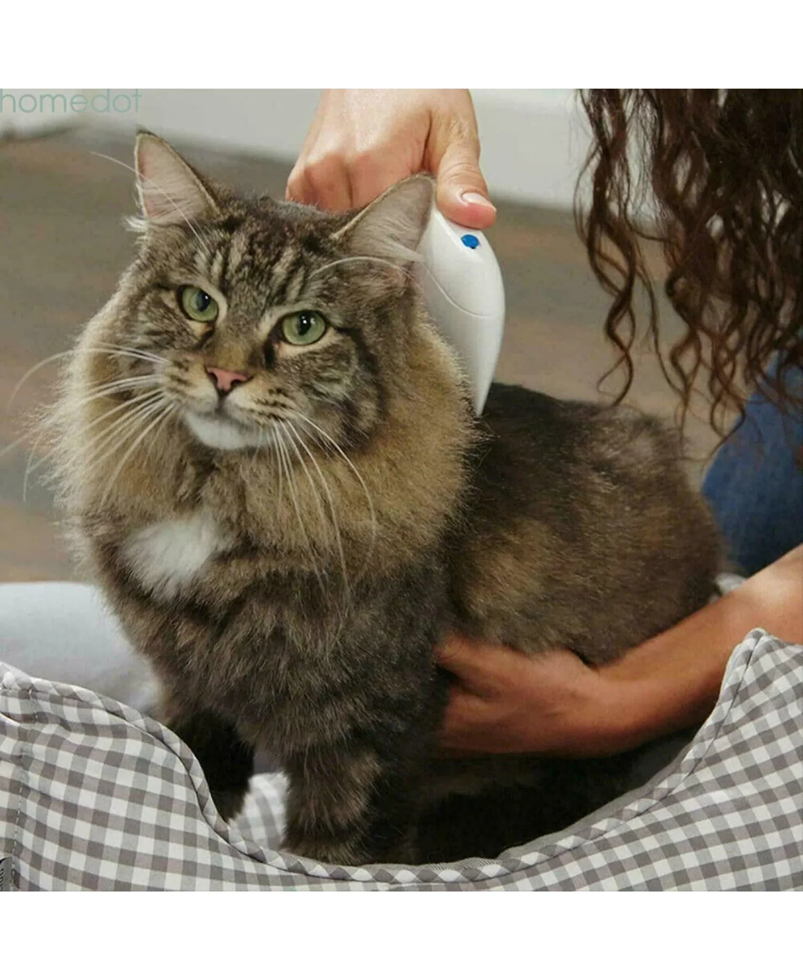 Petology 99.9% accuracy Flea Remover I 100% Natural Tick & Flea killer , no pesticides  Pets, Dogs-Puppies, Cats-Kittens