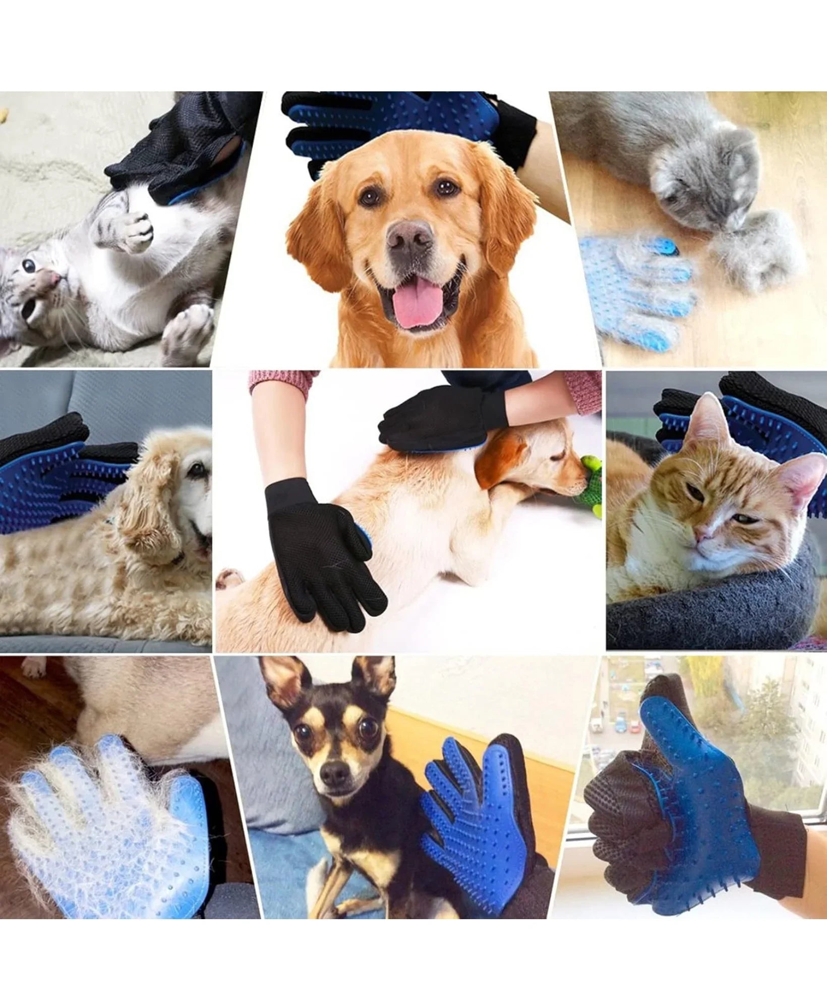 Hi Health Combo of 2, Slicker Brush Pet Grooming Glove for Dogs and Cats Shedding Small Medium Large Breeds(Pack of 2-Multi Color)