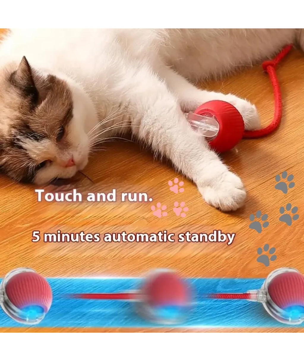 Playpets Most Viral Interactive Rolling Ball Toy for Cats and Dogs 360° Smart Automatic Pet Ball (RED)