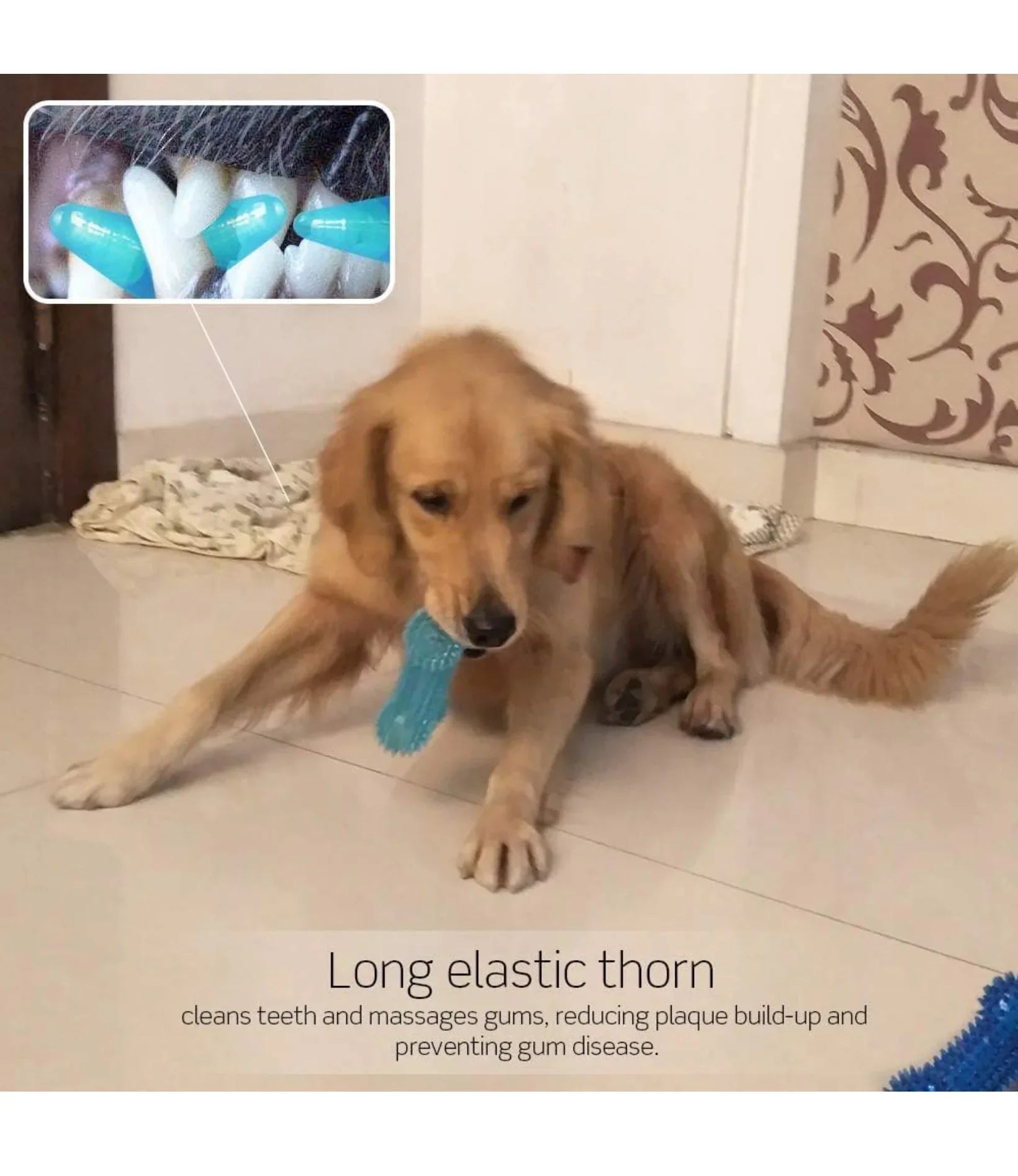 100% BPA Free,Non-Toxic,Squeaky spike bone for healthy dental, fetch toys with TPR Rubber Toys