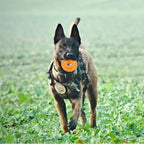 100% BPA FREE & NON-TOXIC Spike Ring Chew Toy is a Durable, Interactive Option for Dogs That Love to chew and Play