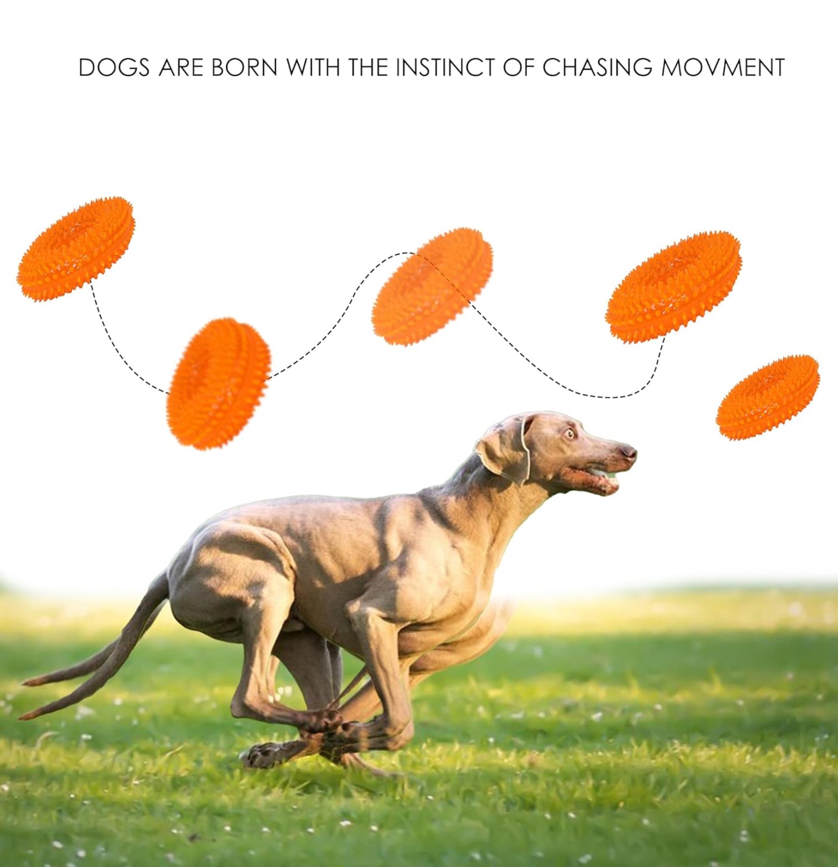 100% BPA FREE & NON-TOXIC Spike Ring Chew Toy is a Durable, Interactive Option for Dogs That Love to chew and Play