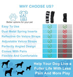 Petability Canine Splint Brace for Rear Legs with Safety Reflective Straps, Joint Warps Support Help Hind Legs Injuries Sprains Arthritis Torn ligament (1 Pair)