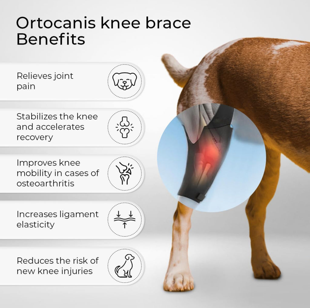 Petability Knee Brace for Dogs with Side Stabilizers, Knee Cap Dislocation, post operative , Arthritis - Keeps The Joint Warm and Stable - Extra Support - Reduces Pain and Inflammation (Suitable medium,Large & Extra-Large Breeds) 1 piece