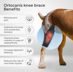 Petability Knee Brace for Dogs with Side Stabilizers, Knee Cap Dislocation, post operative , Arthritis - Keeps The Joint Warm and Stable - Extra Support - Reduces Pain and Inflammation (Suitable medium,Large & Extra-Large Breeds) 1 piece