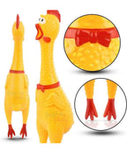 PLAYPETS DOG TRUST SOFT LATEX RUBBER COMBO PACK INTERACTIVE SQUEAKY TOY SET IDEAL FOR DOGS & PUPPIES - MULTICOLOR