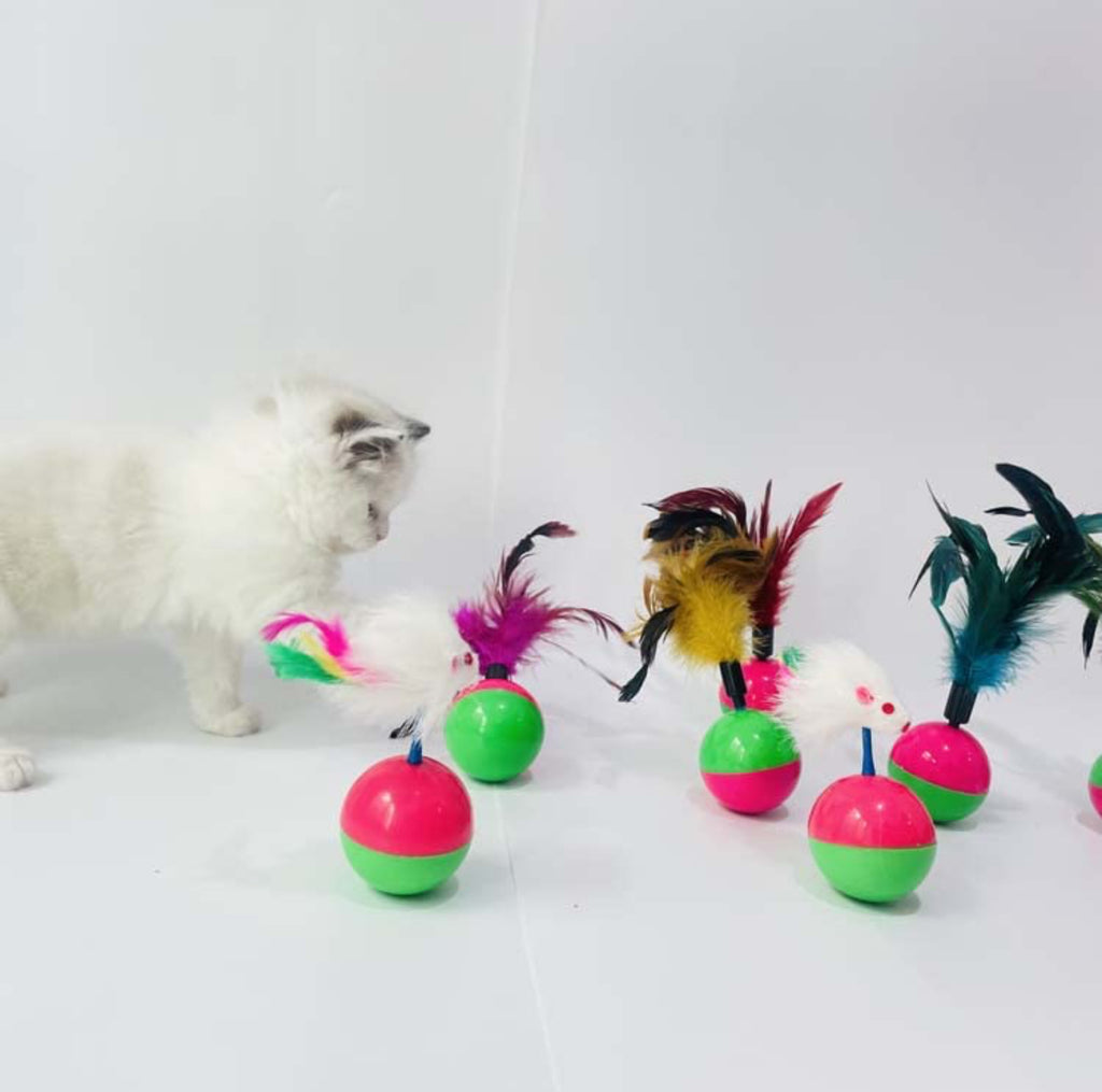 6-in-1 Combo Cat Toys for Indoor Cats Adult & Kittens – Interactive Wand Toy, Sisal light pair of mouse,50mm,sound ball and fur tumbler with Feather Teaser, Pet Toys for Play, Kitten Play Item, Indoor Play Toy, Daily Exercise & Fun