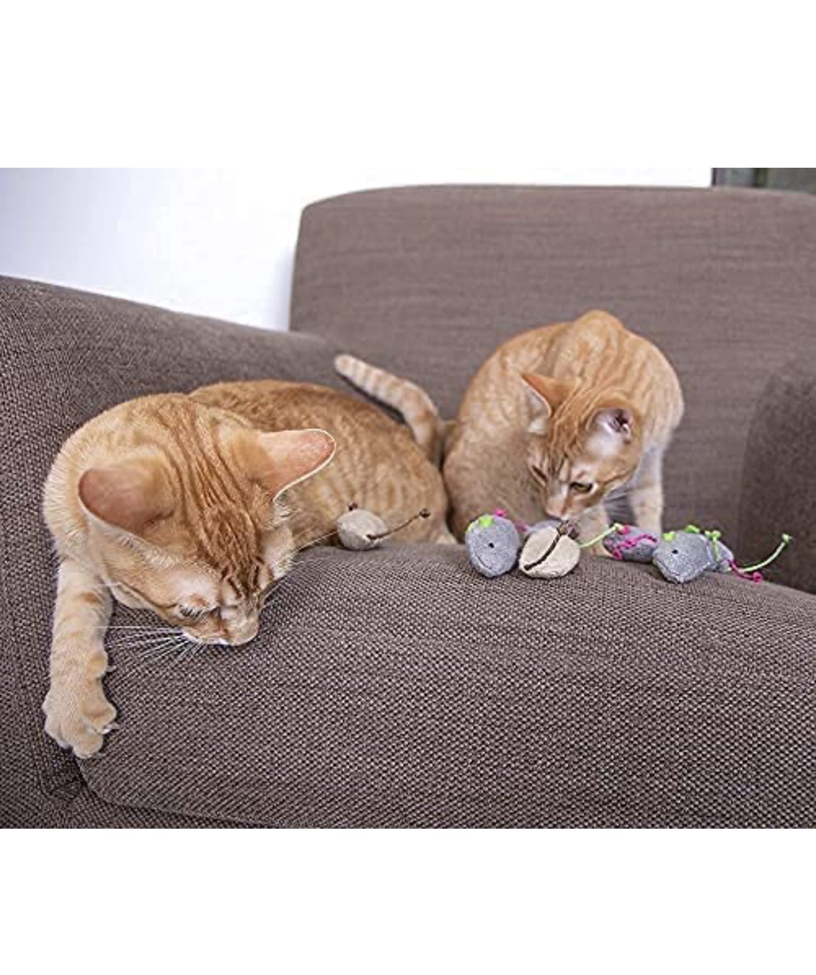 MEOW MEOW Fun Plush Cat Hunting Mouse Toys, Bite Proof , Interactive Mice Plush, Kitten Playing Rat, Soft Mouse , Kittens - 3Pcs (Color May Vary)