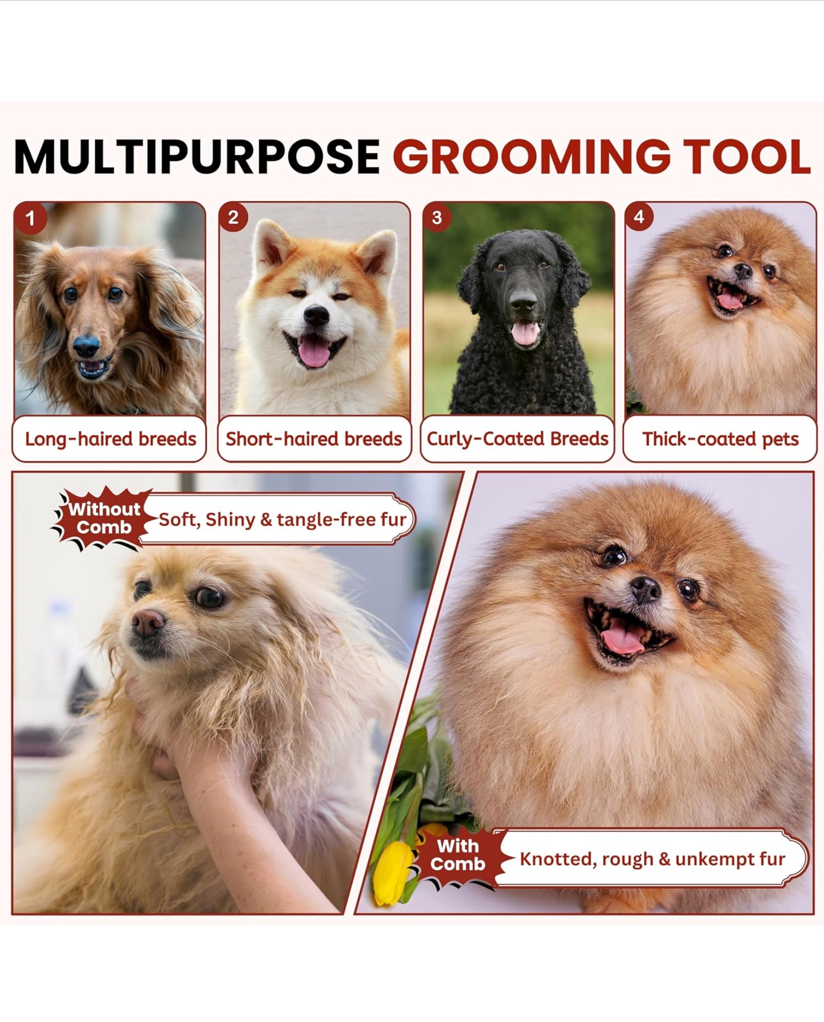 HiHygeine Puppies Double Side Steel Needles Comb for Dogs and Cats - (Paw Print) Grooming Rake Shedding for Dogs, Cats - Best Cleaning for all Pets (Color May Vary)