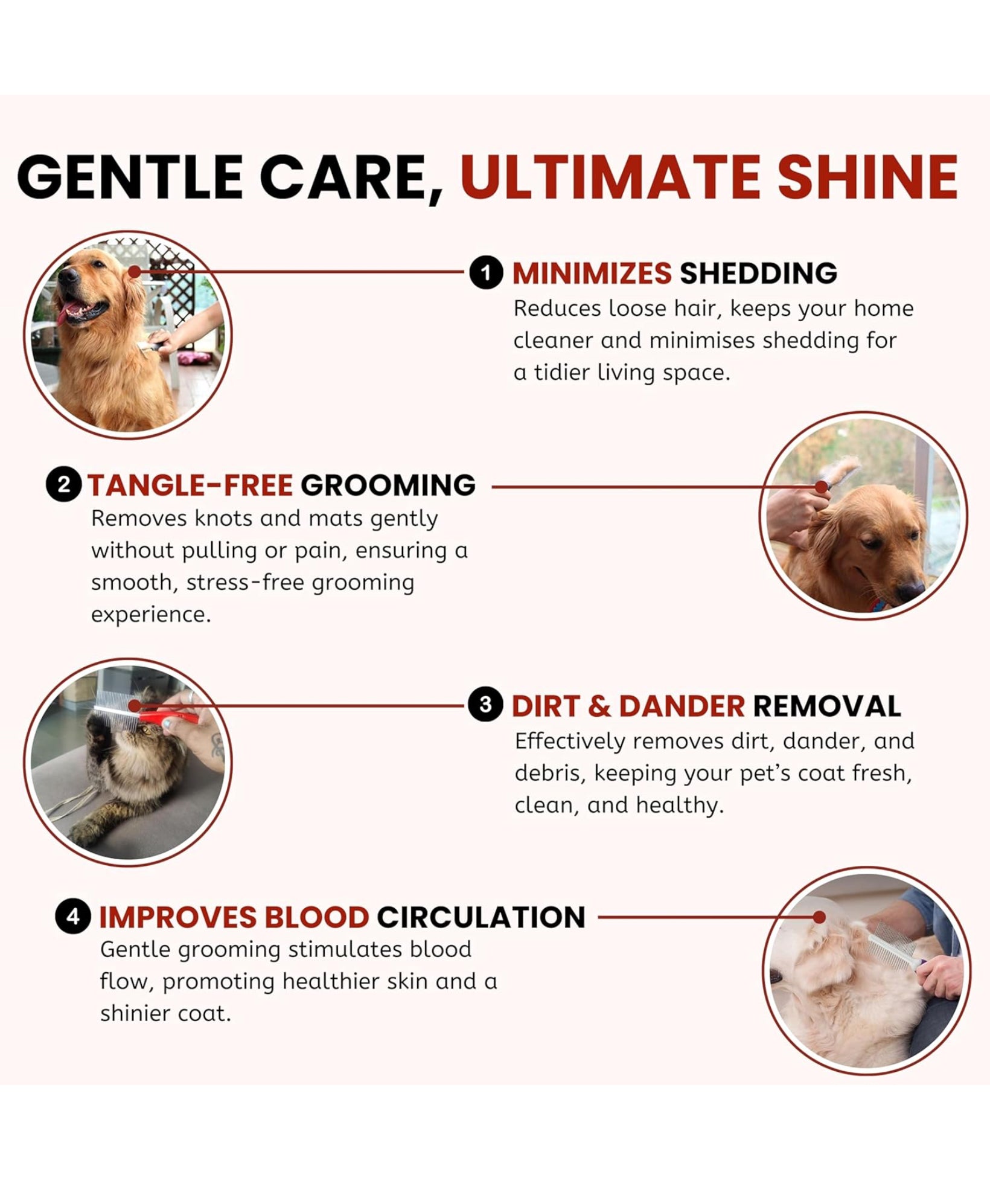 HiHygiene 2 in 1 Pet Comb Pack Adjustable Dog Puppy Brush Pet Comb for Grooming Cum Massager and Safety from Mites,Lice,Ticks Combo Pack of 2 Comb Large Size