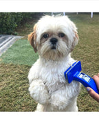 HiHygiene 2 in 1 Pet Comb Pack Adjustable Dog Puppy Brush Pet Comb for Grooming Cum Massager and Safety from Mites,Lice,Ticks Combo Pack of 2 Comb Large Size
