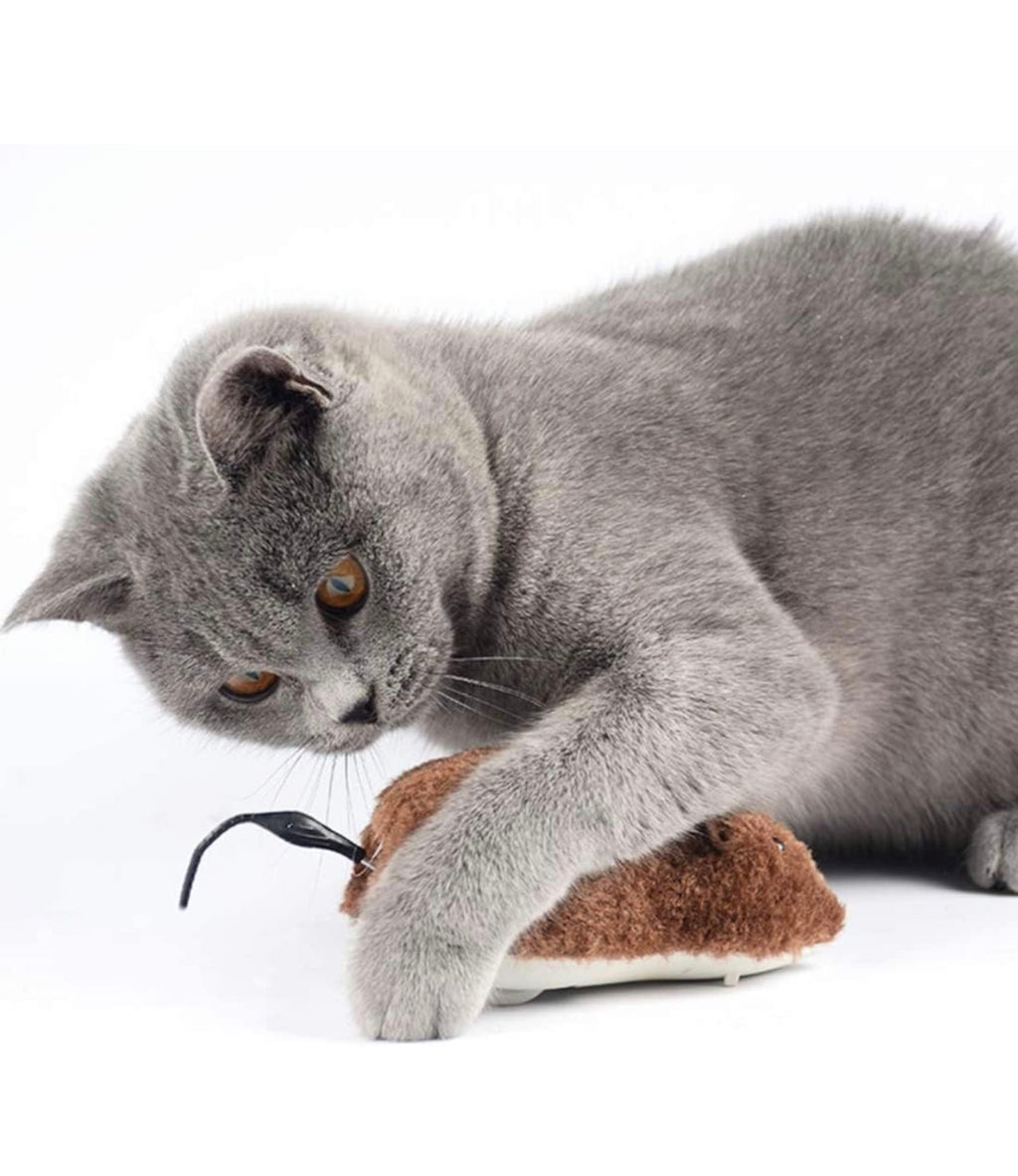 6-in-1 Cat Toy Combo Keep Your Cat Happy Active and Entertained Ultimate Playtime Bundle for Curious Cats