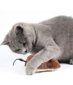 6-in-1 Cat Toy Combo Keep Your Cat Happy Active and Entertained Ultimate Playtime Bundle for Curious Cats