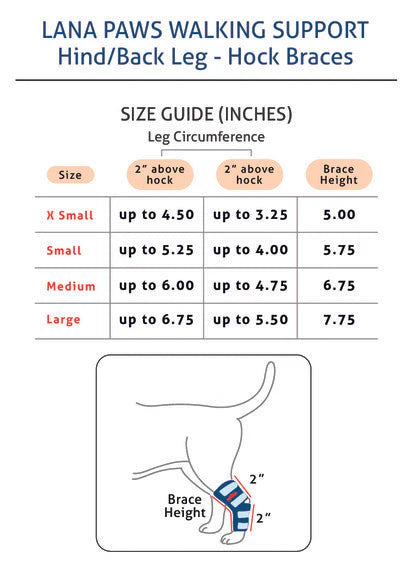 Petability Canine Splint Brace for Rear Legs with Safety Reflective Straps, Joint Warps Support Help Hind Legs Injuries Sprains Arthritis Torn ligament (1 Pair)