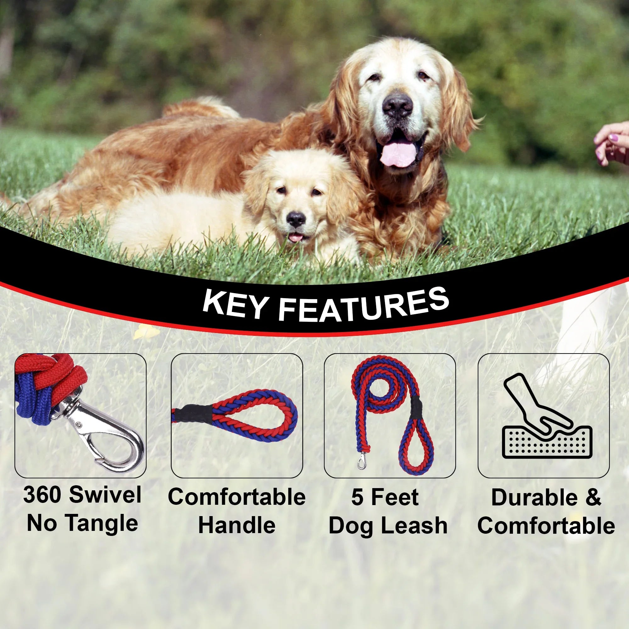 Petology high strength Mountain Xtra strong Climbing Rope Tough Nylon Braided Dog Leash multicolour