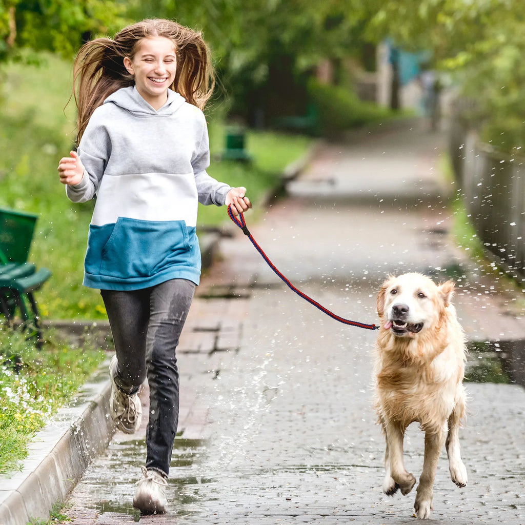 Petology high strength Mountain Xtra strong Climbing Rope Tough Nylon Braided Dog Leash multicolour