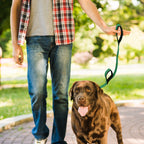 PAWPET Dual Handle Dog Leash Heavy Duty for Large Dogs that Pull, Double Handle for Traffic Control, Double-Sided Leashes for Large Medium Dogs Safety(Colors Vary)