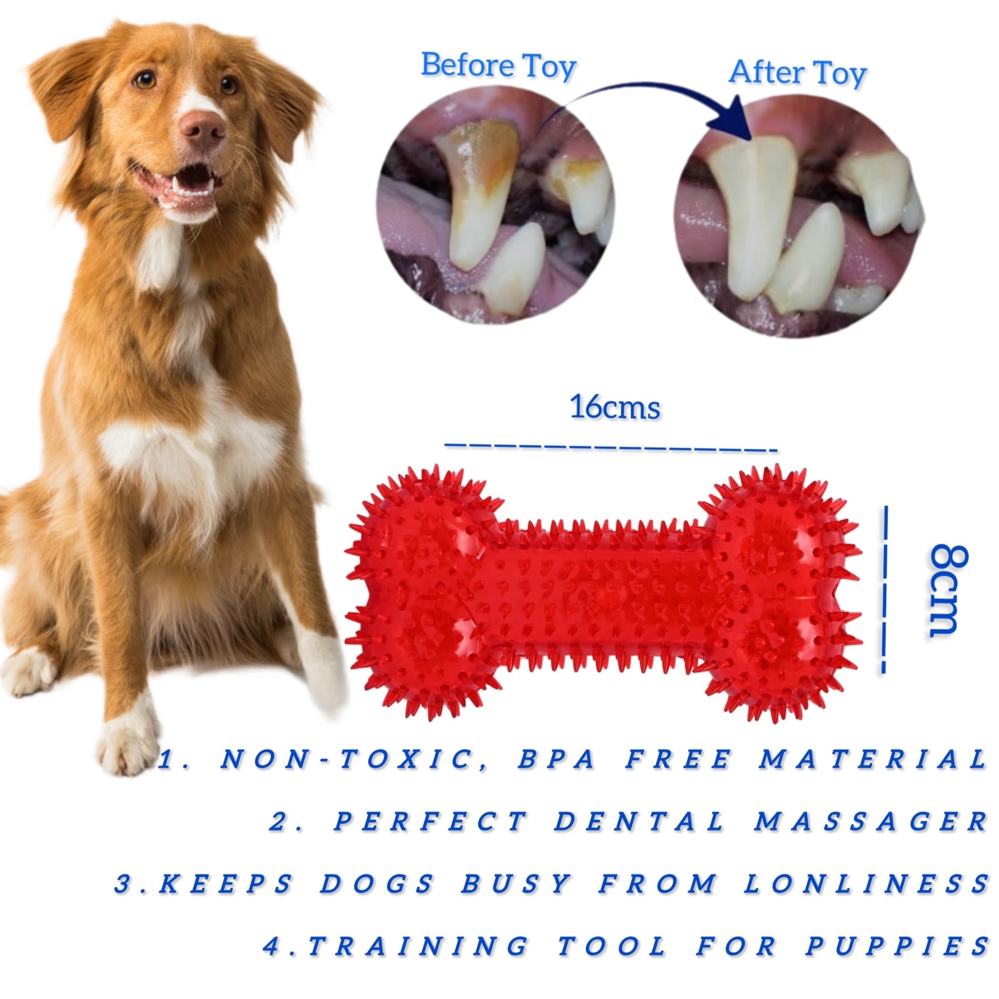 100% BPA Free,Non-Toxic,Squeaky spike bone for healthy dental, fetch toys with TPR Rubber Toys