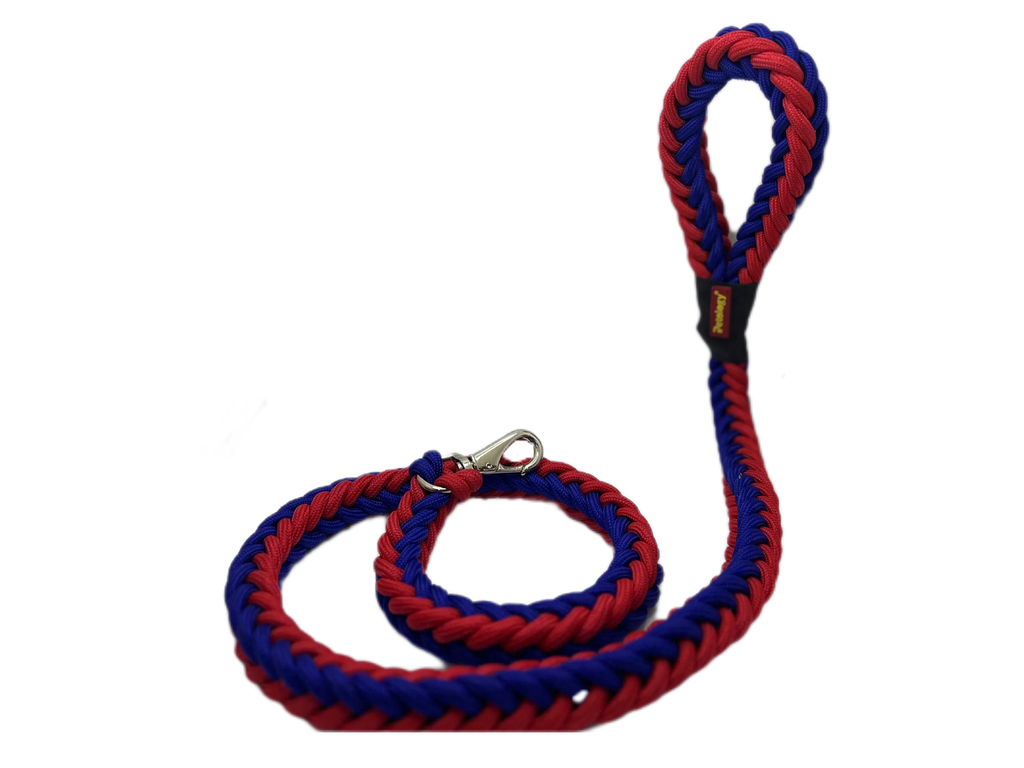 Petology high strength Mountain Xtra strong Climbing Rope Tough Nylon Braided Dog Leash multicolour