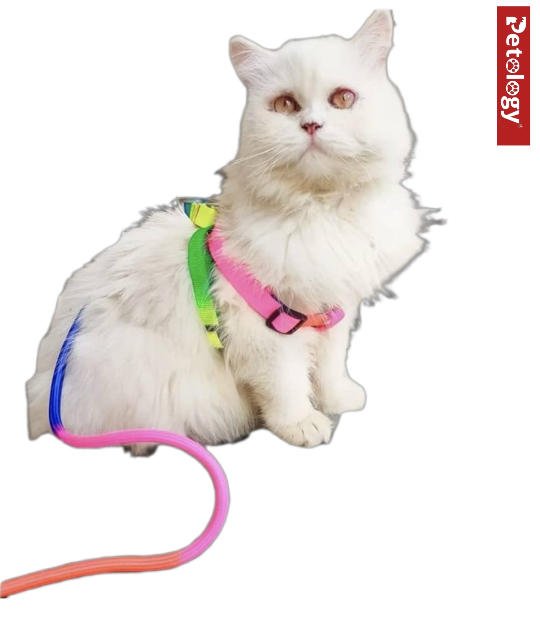 PAWPET Rainbow color No escape harness and Rope Leash adjustable Set, for Cats and Dogs (12 MM & 15 MM Set)