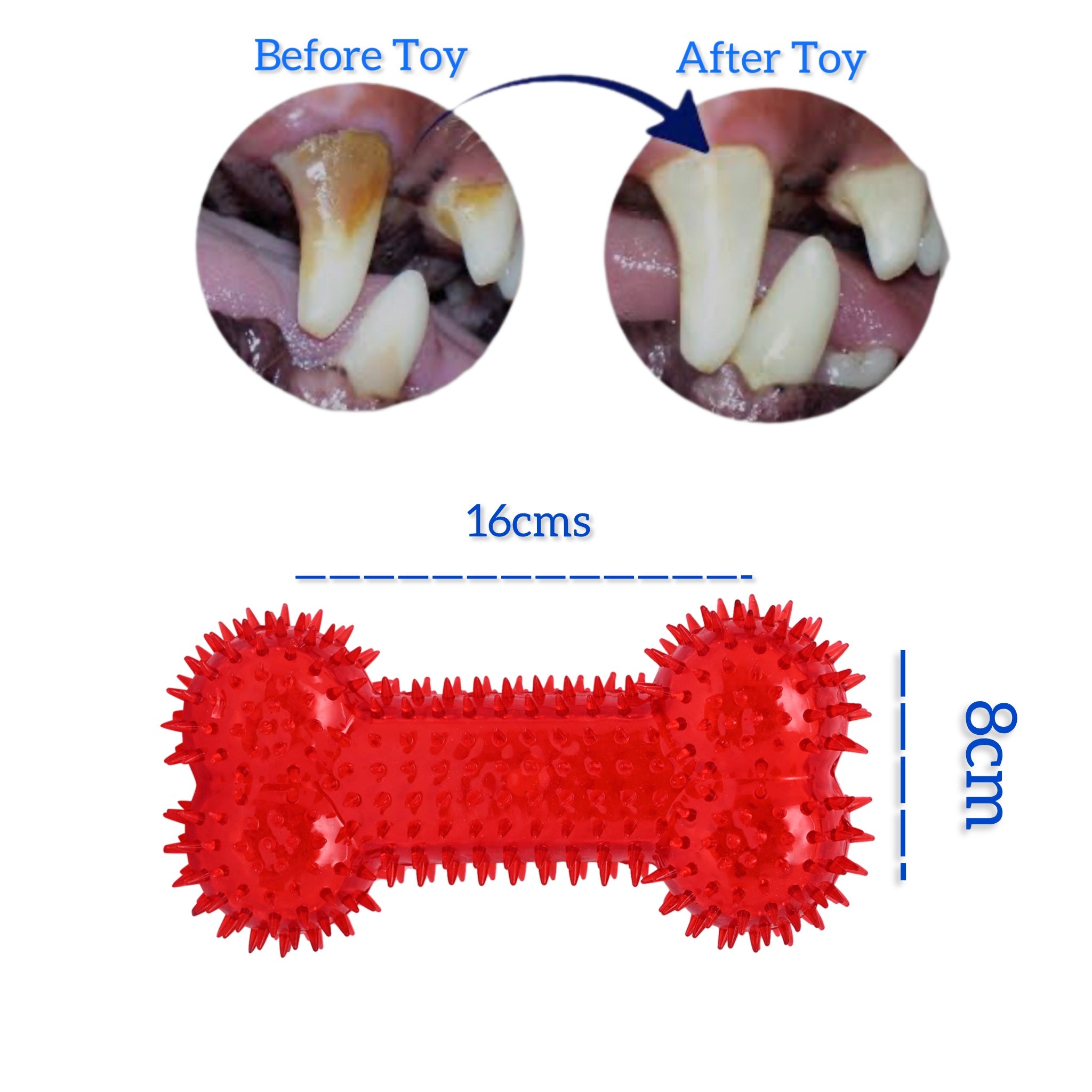 7 DAYS 7 NEW PLAYFUL SQUEAKY TOYS,LOVED BY SMALL,MEDIUM AND LARGE DOG BREEDS