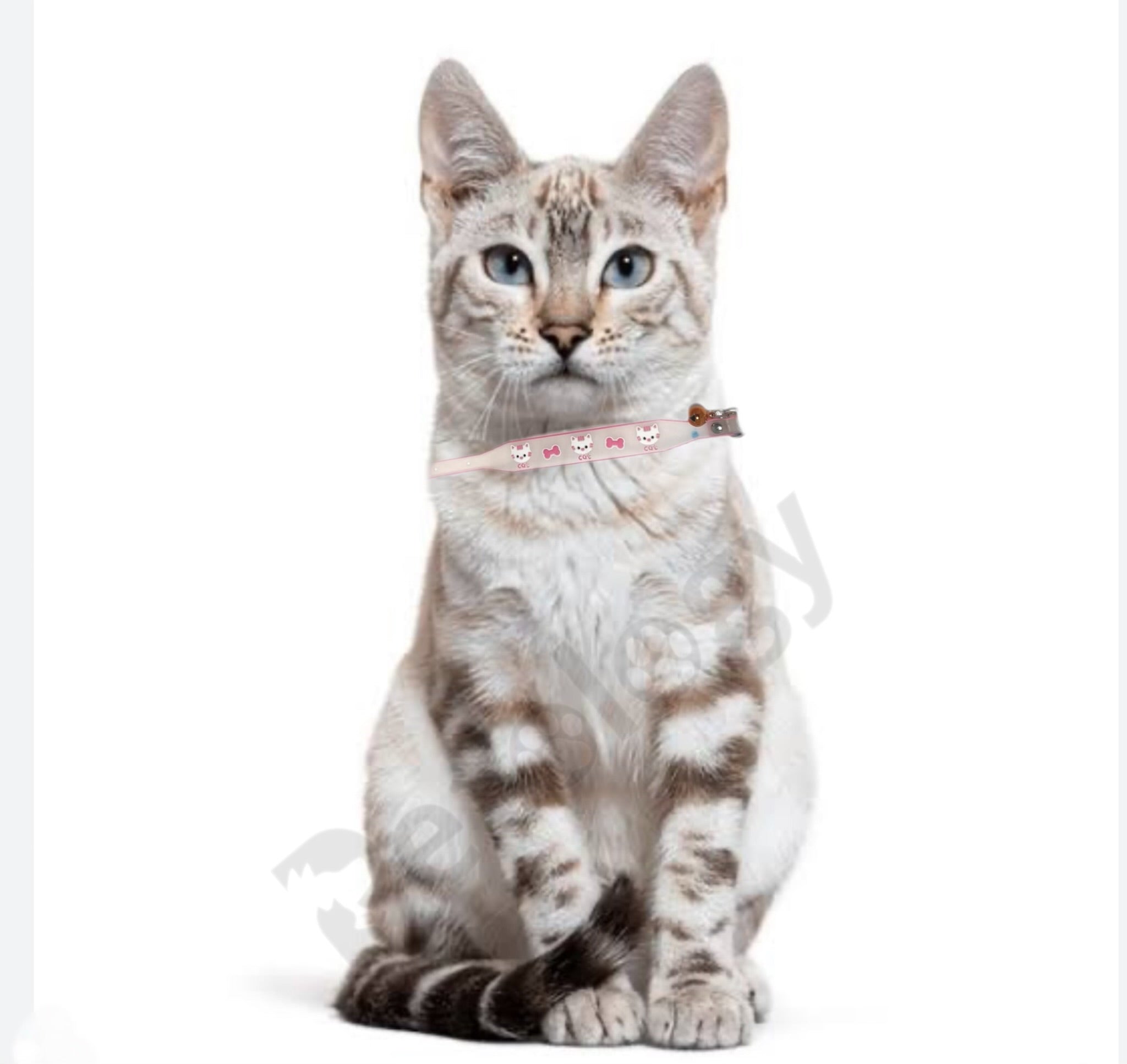 Petology Silicone Cat/Kitten Reflective Adjustable Collar Safety Buckle with Bells Cat Radium Adjustable Collar with Bell for Puppy/Kitten (Color May Vary) (Pack of-2, Design -2)