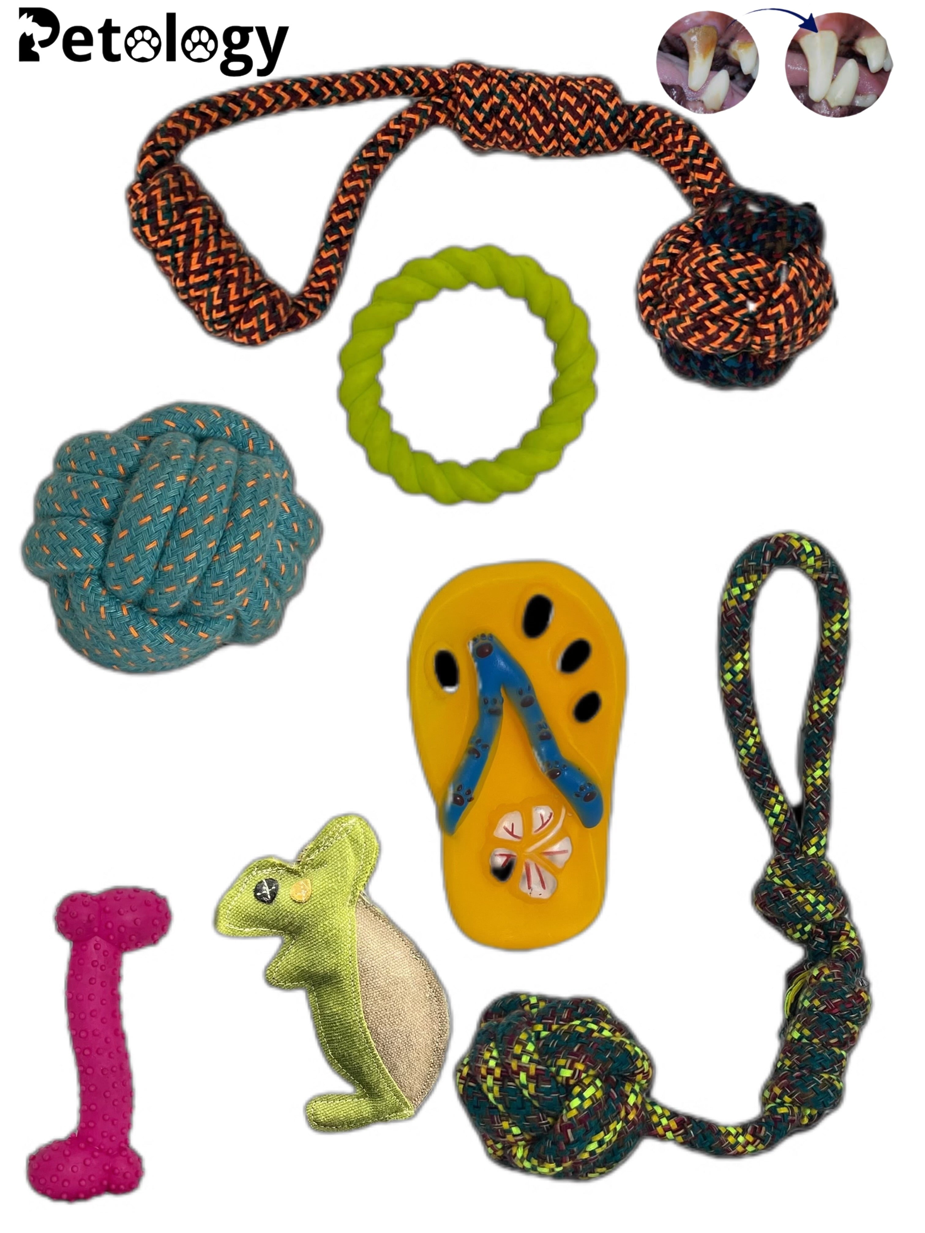 GIFT 1 EVERYDAY and give your furry dear to you and make them feel so special today or daily.